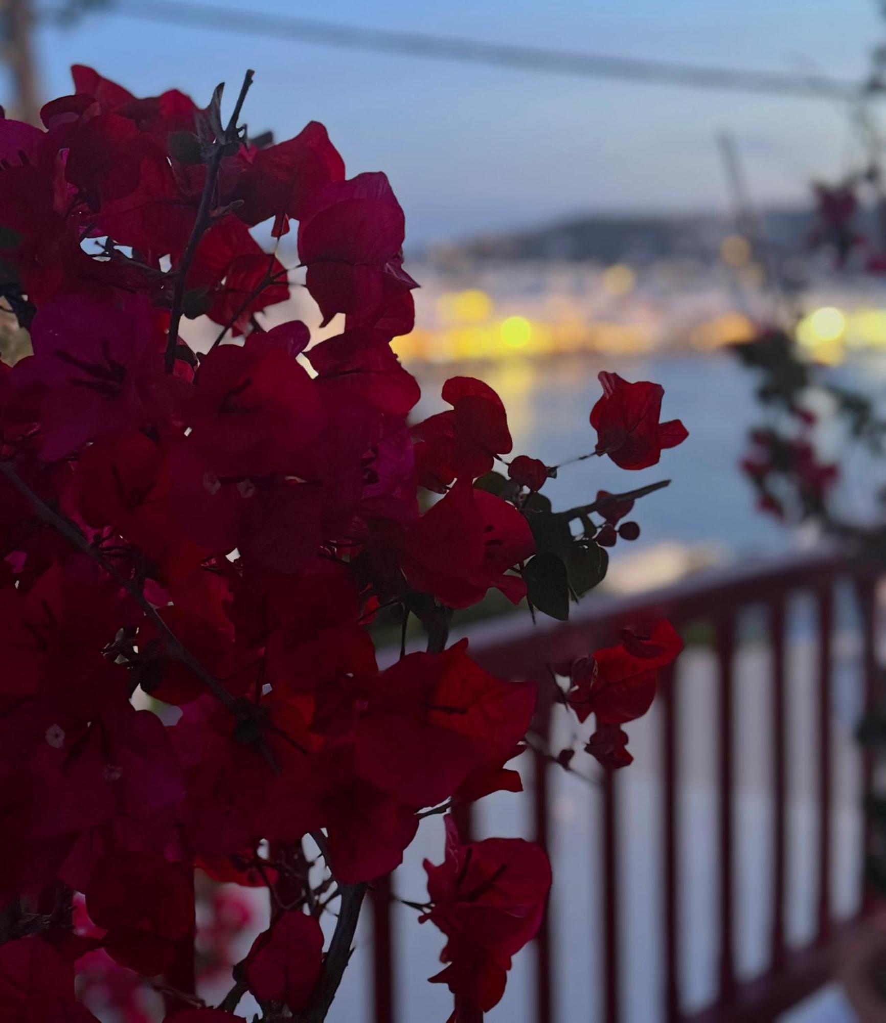 Arodou Studio And Apartment Mykonos Town 외부 사진