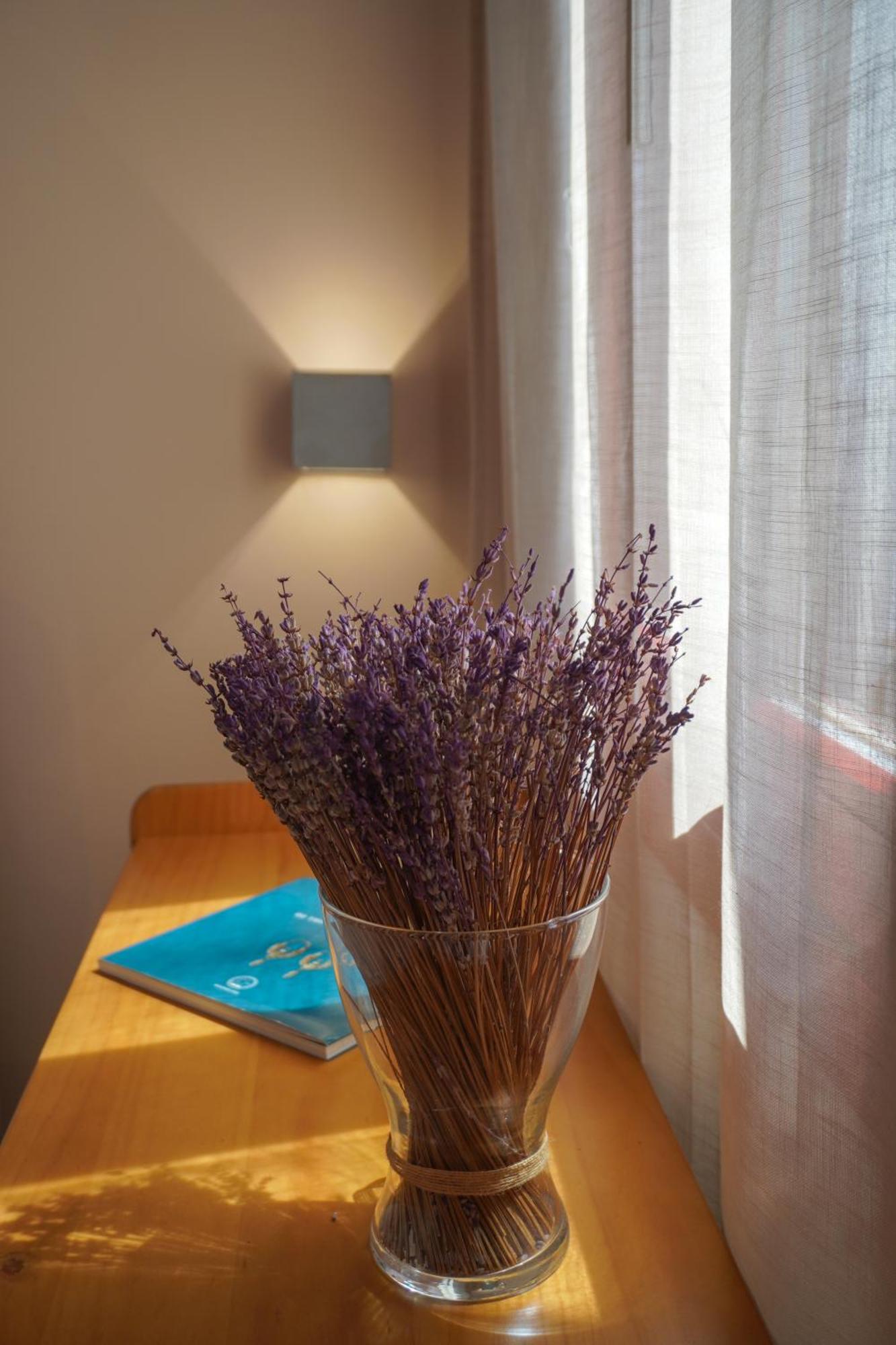 Arodou Studio And Apartment Mykonos Town 외부 사진